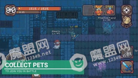 阿罗丝的诅咒(Curse of Aros)