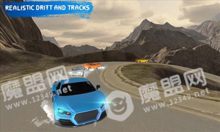 真正的专业漂移2020(Real Drift Max)