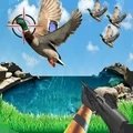 野外猎鸭模拟器v1.2
