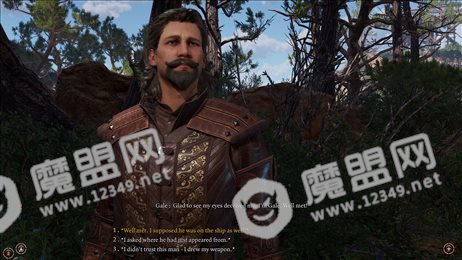 博德之门3(Baldurs Gate 3)