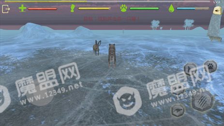 老虎生存大作战