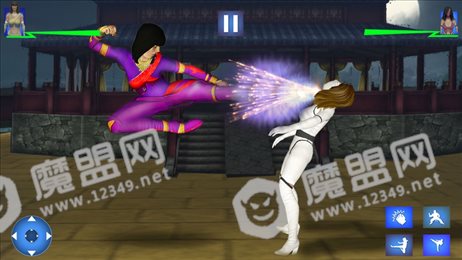 功夫忍者街头英雄ios版