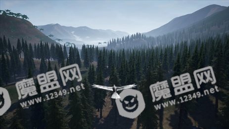 乌鸦模拟器