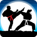 影子空手道大师战斗(Karate Fighter)