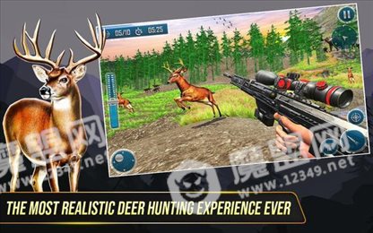 野鹿狩猎冒险(Wild Deer Hunting Adventure)