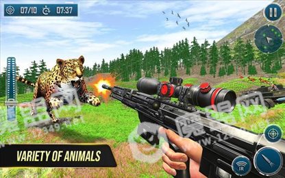 野鹿射击冒险(Wild Deer Hunting Adventure)