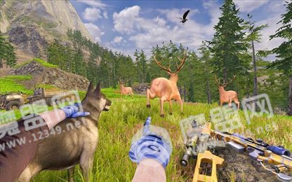 野鹿射击冒险(Wild Deer Hunting Adventure)