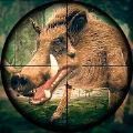 野性狩猎2020(Wild Hunt Pig Sniper Shooting)