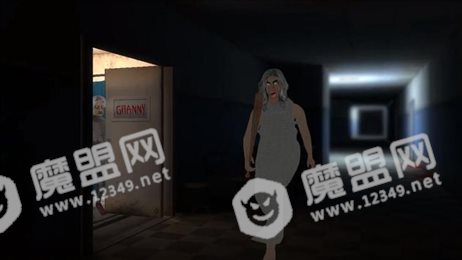 杀死恐怖奶奶(Scary Granny Games)