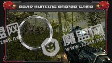 野性狩猎2020(Wild Hunt Pig Sniper Shooting)