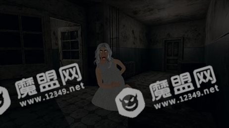 杀死恐怖奶奶(Scary Granny Games)