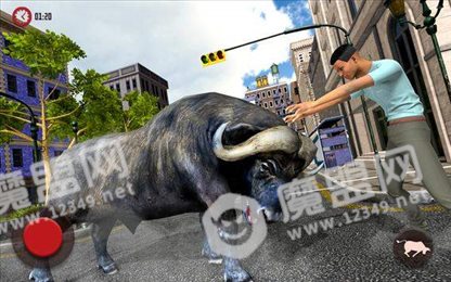 疯狂vs真正的牛市(Crazy vs real bull run)