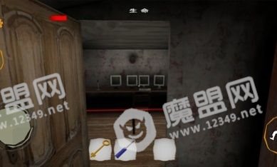 惊魂双胞胎