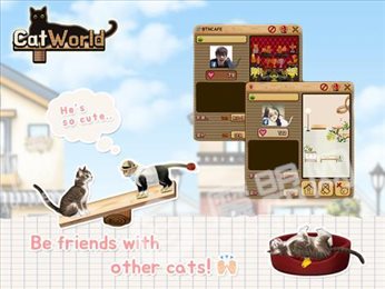 猫的世界(Cat World)