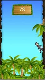 丛林向上奔跑(Jungle Run)