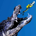 水下鳄鱼狩猎(Under Water Crocodile Hunting)
