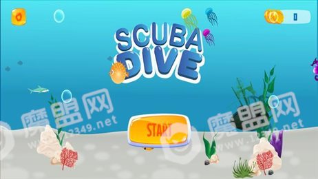 水肺潜水(Scuba Dive)