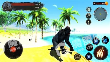 大猩猩狩猎(The Gorilla)