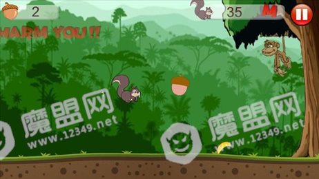 松鼠跑酷历险(squirrel adventures)