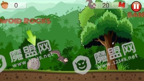 松鼠跑酷历险(squirrel adventures)