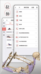 3D运动健康