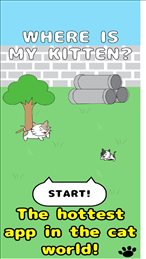 猫去哪儿了