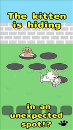 猫去哪儿了