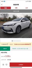 有资拍卖