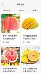 海豚果果
