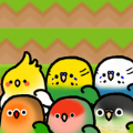 鹦鹉朋友下楼梯(Parakeet Rush)
