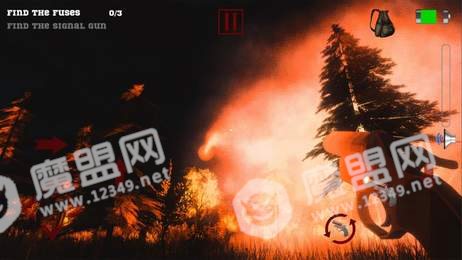 森林里的寂静(Silence in Forest)