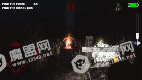 森林里的寂静(Silence in Forest)