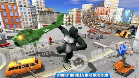 大猩猩毁灭19(Gorilla Destruction 19)