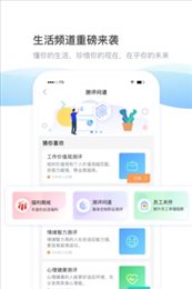 daydao视频面试