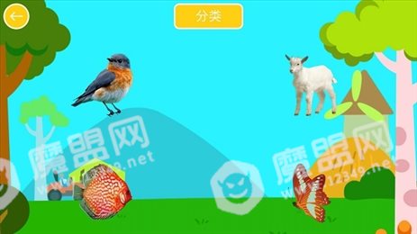 宝宝动物贴纸HD