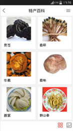 东北土特产