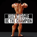 钢铁肌肉(Iron Muscle - Be the champion)v0.74.71