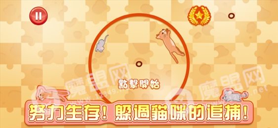 新猫鼠追踪ios版