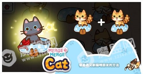 合并礼包猫