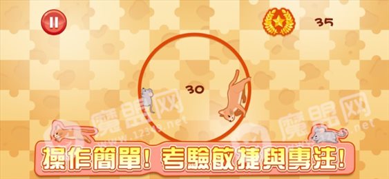 新猫鼠追踪ios版