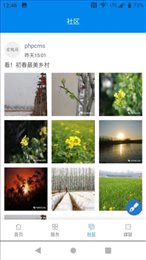 爱槐荫