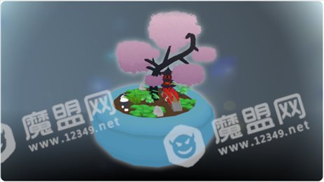 袖珍盆景