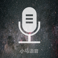 中英语音翻译器v3.1.1