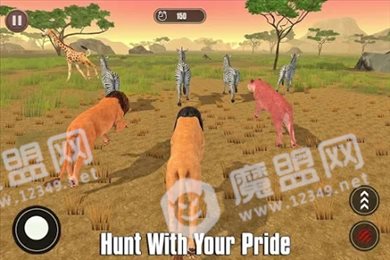 狮子王国模拟