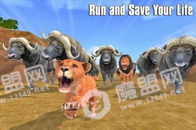 狮子王国模拟