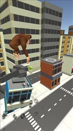 Fury Monkey