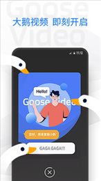 大鹅视频