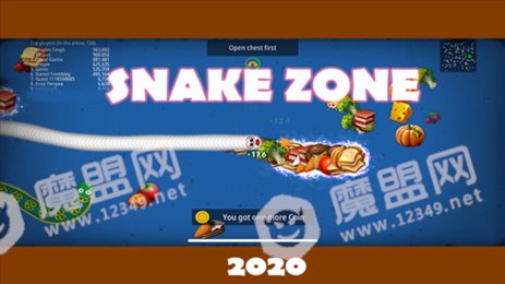 贪食蛇领地(Snake Zone)