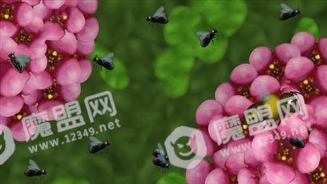 美味星球变异小蜜蜂(Tasty Planet 4)