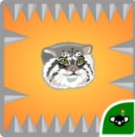 帕拉斯猫尖峰挑战